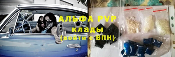 шишки Нязепетровск