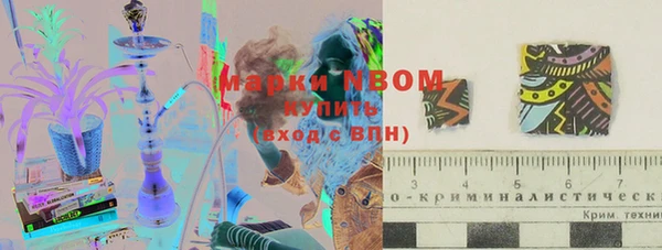 шишки Нязепетровск