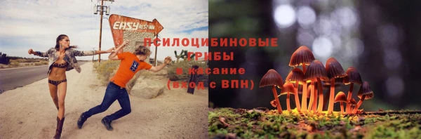 шишки Нязепетровск