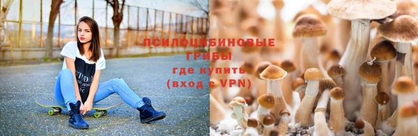 прущая мука Нягань