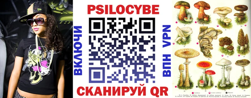 Купить где  Южно-Сахалинск  Псилоцибиновые грибы Psilocybine cubensis 
